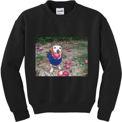 Apple Dog Meme Funny Dog With Apple In Mouth Funny Brainrot Kids Sweatshirt