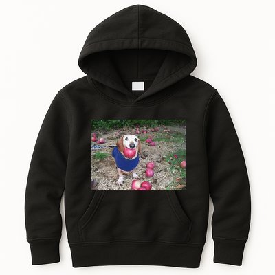 Apple Dog Meme Funny Dog With Apple In Mouth Funny Brainrot Kids Hoodie