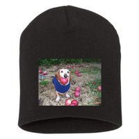 Apple Dog Meme Funny Dog With Apple In Mouth Funny Brainrot Short Acrylic Beanie