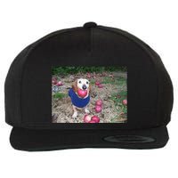 Apple Dog Meme Funny Dog With Apple In Mouth Funny Brainrot Wool Snapback Cap