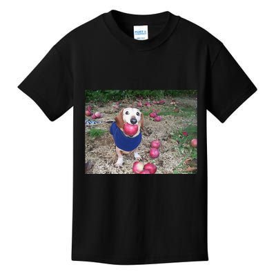 Apple Dog Meme Funny Dog With Apple In Mouth Funny Brainrot Kids T-Shirt