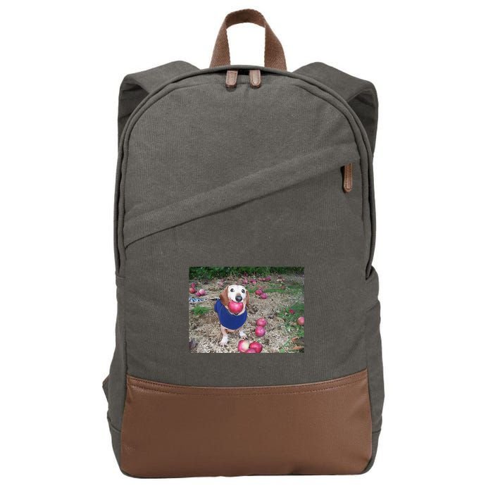 Apple Dog Meme Funny Dog With Apple In Mouth Funny Brainrot Cotton Canvas Backpack