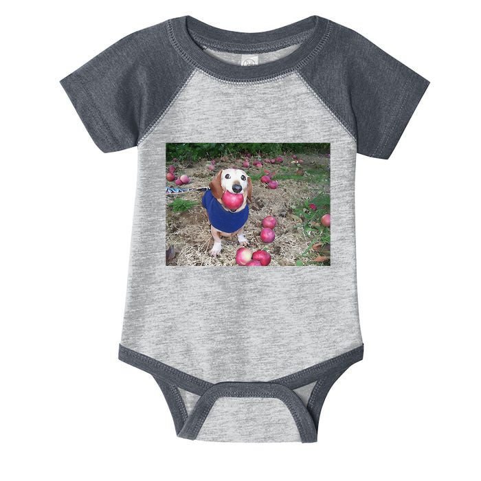 Apple Dog Meme Funny Dog With Apple In Mouth Funny Brainrot Infant Baby Jersey Bodysuit