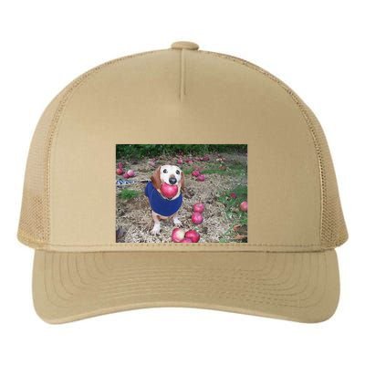 Apple Dog Meme Funny Dog With Apple In Mouth Funny Brainrot Yupoong Adult 5-Panel Trucker Hat