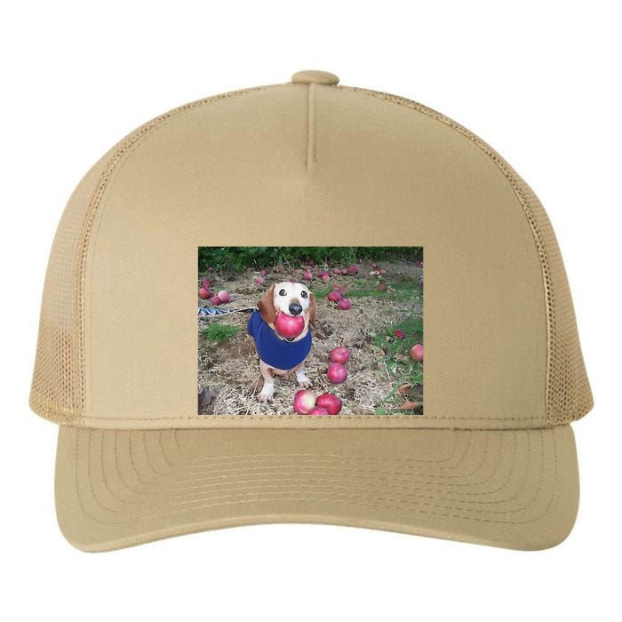Apple Dog Meme Funny Dog With Apple In Mouth Funny Brainrot Yupoong Adult 5-Panel Trucker Hat