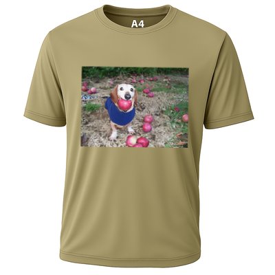 Apple Dog Meme Funny Dog With Apple In Mouth Funny Brainrot Performance Shirt