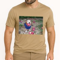 Apple Dog Meme Funny Dog With Apple In Mouth Funny Brainrot Performance Shirt