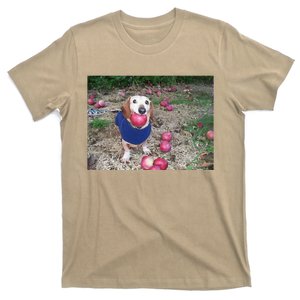 Apple Dog Meme Funny Dog With Apple In Mouth Funny Brainrot T-Shirt