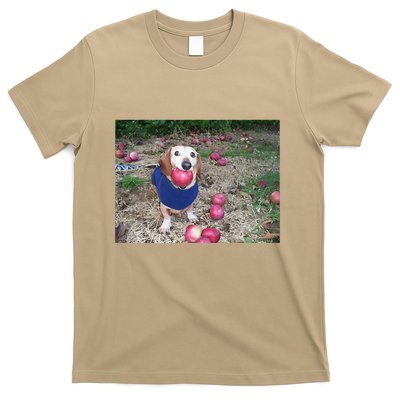 Apple Dog Meme Funny Dog With Apple In Mouth Funny Brainrot T-Shirt