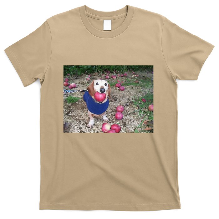 Apple Dog Meme Funny Dog With Apple In Mouth Funny Brainrot T-Shirt