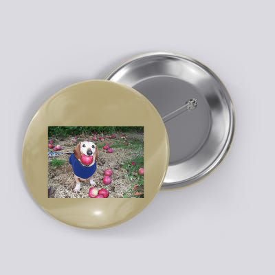 Apple Dog Meme Funny Dog With Apple In Mouth Funny Brainrot Button
