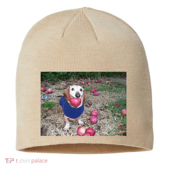 Apple Dog Meme Funny Dog With Apple In Mouth Funny Brainrot Sustainable Beanie