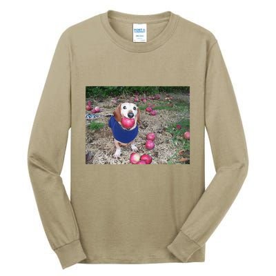 Apple Dog Meme Funny Dog With Apple In Mouth Funny Brainrot Tall Long Sleeve T-Shirt
