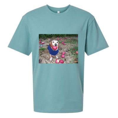 Apple Dog Meme Funny Dog With Apple In Mouth Funny Brainrot Sueded Cloud Jersey T-Shirt