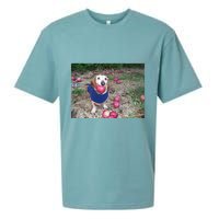 Apple Dog Meme Funny Dog With Apple In Mouth Funny Brainrot Sueded Cloud Jersey T-Shirt
