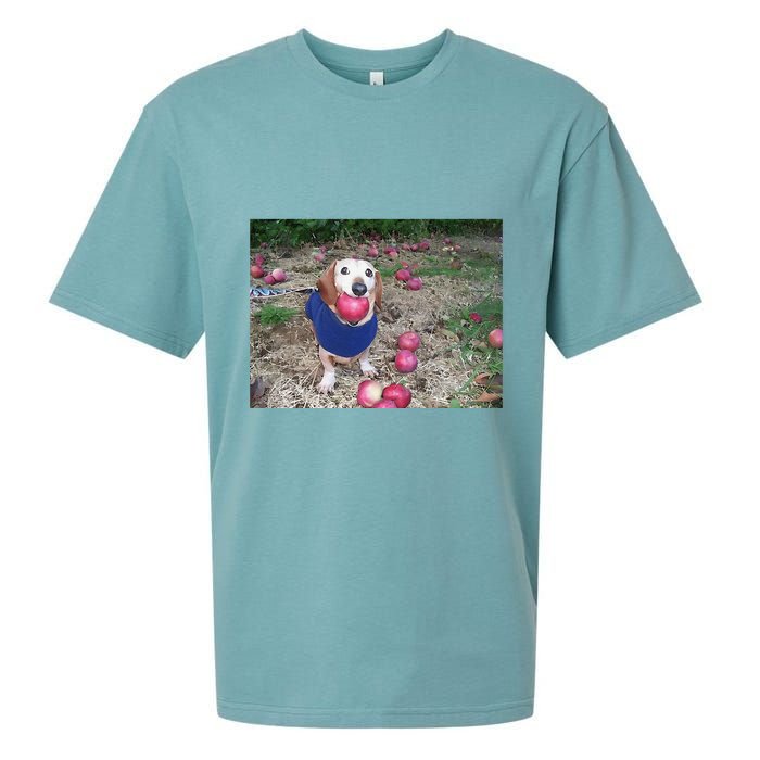Apple Dog Meme Funny Dog With Apple In Mouth Funny Brainrot Sueded Cloud Jersey T-Shirt