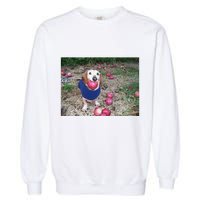 Apple Dog Meme Funny Dog With Apple In Mouth Funny Brainrot Garment-Dyed Sweatshirt