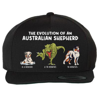 Aussie Dog Mom The Evolution Of An Australian Shepherd Wool Snapback Cap