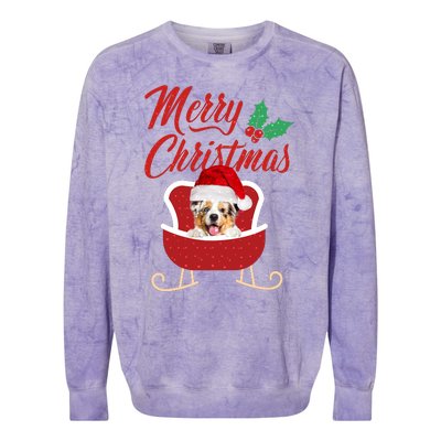 Aussie Dog Merry Christmas Design For The Holiday Season! Colorblast Crewneck Sweatshirt