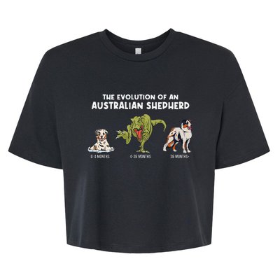 Aussie Dog Mom The Evolution Of An Australian Shepherd Bella+Canvas Jersey Crop Tee