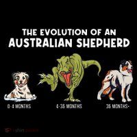 Aussie Dog Mom The Evolution Of An Australian Shepherd Flat Bill Trucker Hat