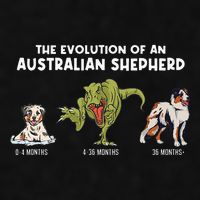 Aussie Dog Mom The Evolution Of An Australian Shepherd Ladies PosiCharge Tri-Blend Wicking Tank