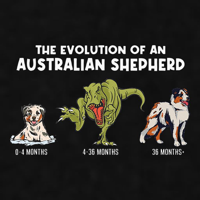 Aussie Dog Mom The Evolution Of An Australian Shepherd Ladies PosiCharge Tri-Blend Wicking Tank