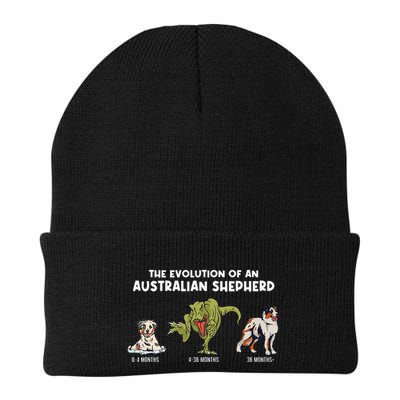 Aussie Dog Mom The Evolution Of An Australian Shepherd Beanie