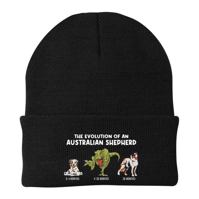 Aussie Dog Mom The Evolution Of An Australian Shepherd Beanie
