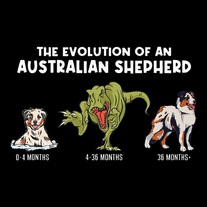 Aussie Dog Mom The Evolution Of An Australian Shepherd Drawstring Bag
