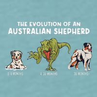 Aussie Dog Mom The Evolution Of An Australian Shepherd Sueded Cloud Jersey T-Shirt