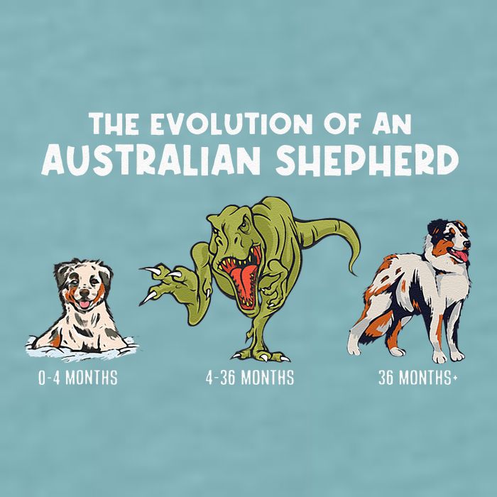 Aussie Dog Mom The Evolution Of An Australian Shepherd Sueded Cloud Jersey T-Shirt