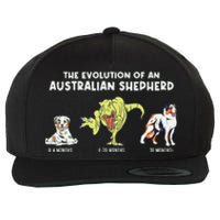 Aussie Dog Mom The Evolution Of An Australian Shepherd Wool Snapback Cap