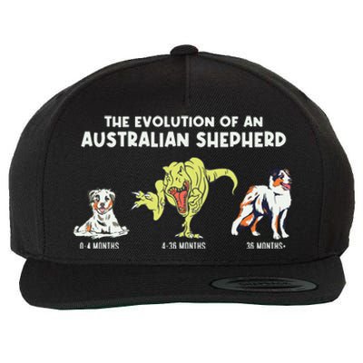 Aussie Dog Mom The Evolution Of An Australian Shepherd Wool Snapback Cap