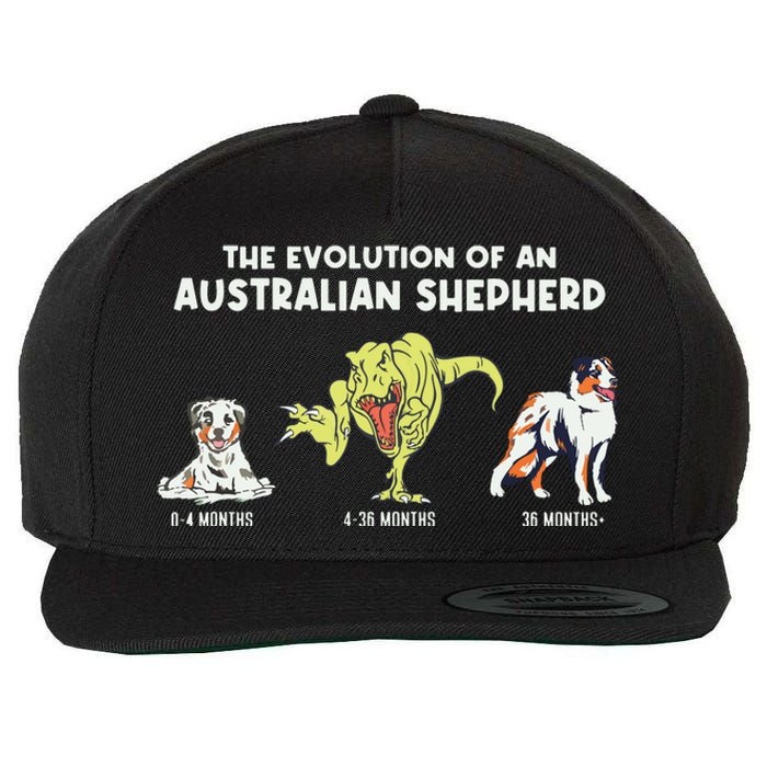 Aussie Dog Mom The Evolution Of An Australian Shepherd Wool Snapback Cap