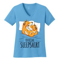 Akita Dog Off.icial Sleepshirt Women's V-Neck T-Shirt