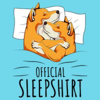 Akita Dog Off.icial Sleepshirt Women's V-Neck T-Shirt