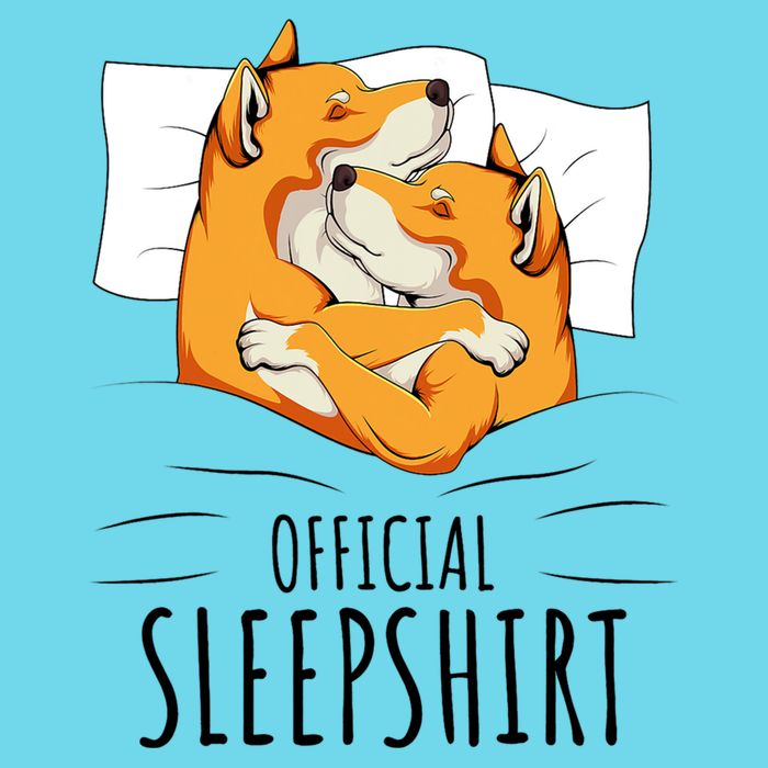 Akita Dog Off.icial Sleepshirt Women's V-Neck T-Shirt