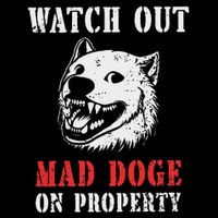 Anti Doge Pro Doge Sign Flat Bill Trucker Hat