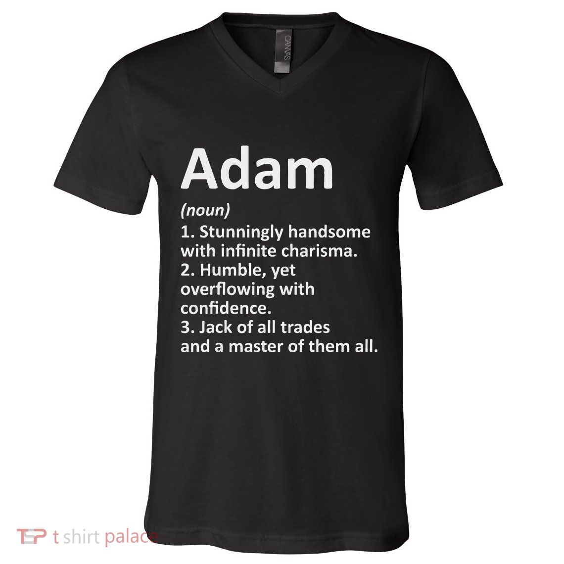 Adam Definition Personalized Name Funny Birthday Gift Idea V-Neck T-Shirt