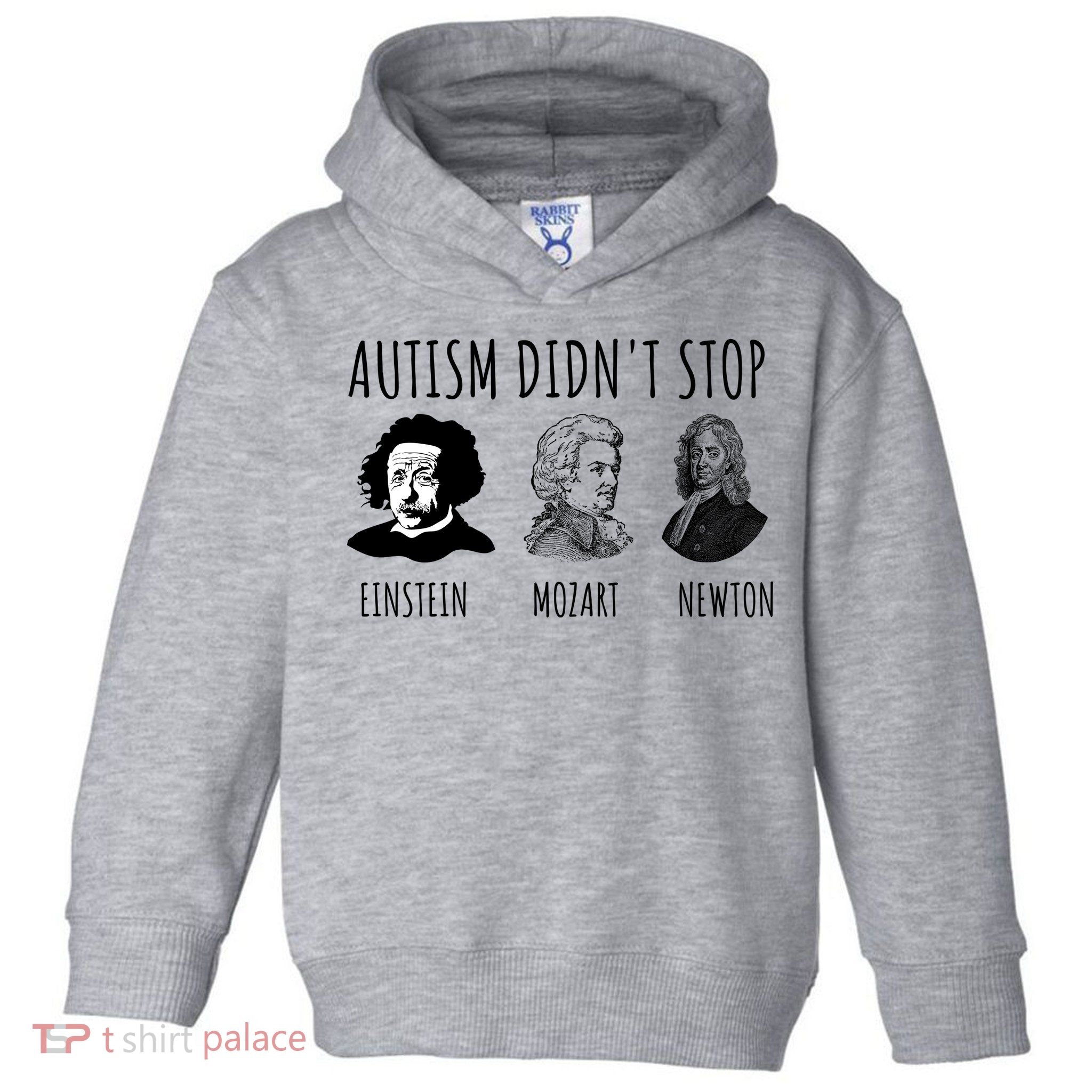 Autism Didn't Stop Einstein Mozart Newton Inspirational Autism Awareness Month Toddler Hoodie
