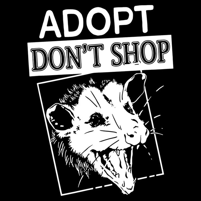Adopt DonT Shop Cropped Pullover Crew