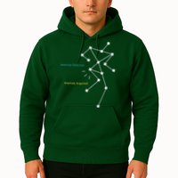 Anomaly Detected SLS Ghost Hunting Funny Paranormal Hoodie