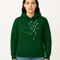 Anomaly Detected SLS Ghost Hunting Funny Paranormal Hoodie