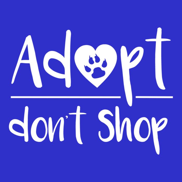 Adopt DonT Shop Animal Rescue And Foster Gift Visor