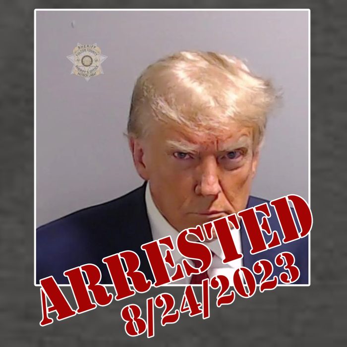 Arrested Donald Trump Mugshot Vector Backpack