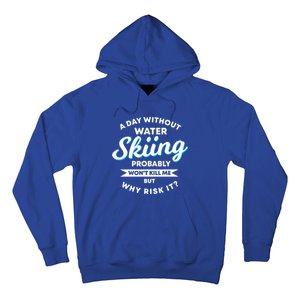 A Day Without Water Skiing Funny Weekend Waterskiing Gift Hoodie