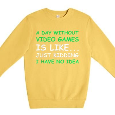 A Day Without Video Games Funny Video Gamer Gift Men Women Premium Crewneck Sweatshirt