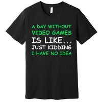 A Day Without Video Games Funny Video Gamer Gift Men Women Premium T-Shirt