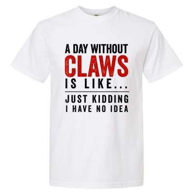 A Day Without Hard Seltzer Funny Alcohol Bar Crawl Claw Gift Garment-Dyed Heavyweight T-Shirt